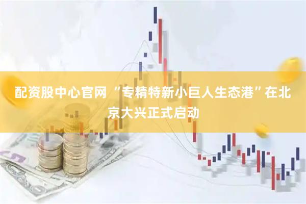 配资股中心官网 “专精特新小巨人生态港”在北京大兴正式启动
