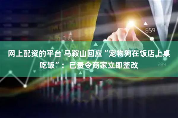 网上配资的平台 马鞍山回应“宠物狗在饭店上桌吃饭”：已责令商家立即整改